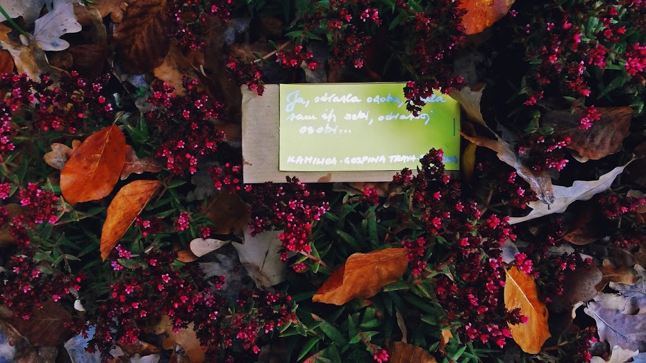 Photo by the player of Suzana K (Astra larp, Croatia, 2014)