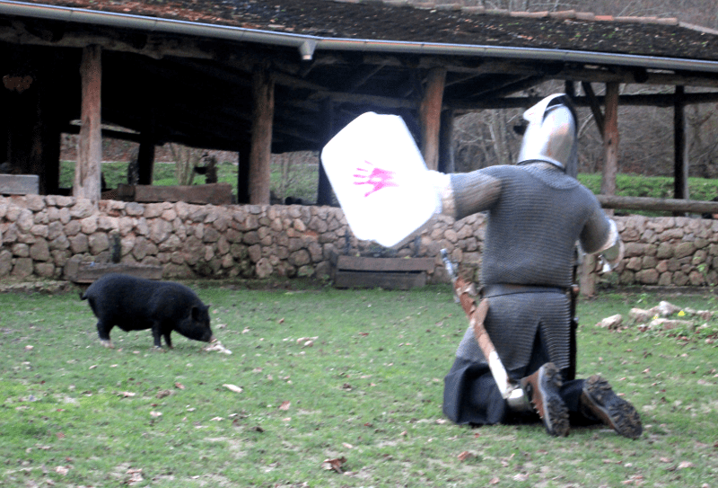 Well... yeah. Photo by Vesna Kurilić & Ivana Delač (The Elder Scrolls Chronicles II - Soulburst larp, Croatia, November 2014)