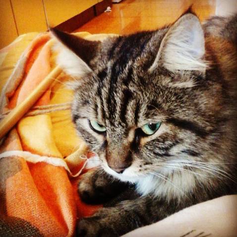 IMG_20171114_073251_299